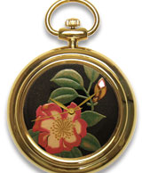 山茶花